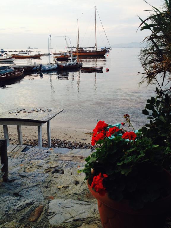 Tuzla Yacht Club Accommodatie bij particulieren