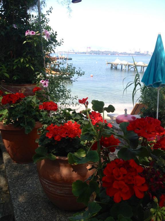 Accommodatie bij particulieren Tuzla Yacht Club *